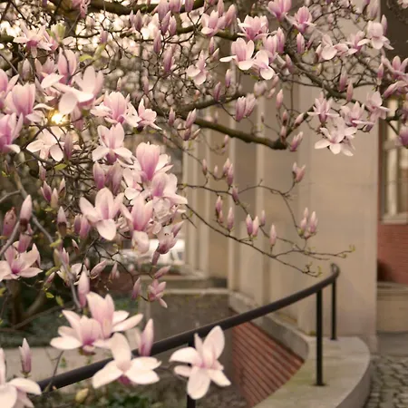 In Historic Heart Of * 브로츠와프