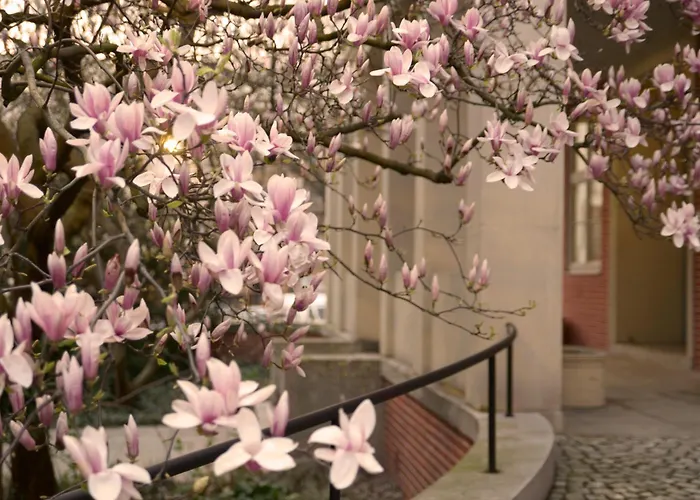 In Historic Heart Of * Breslavia